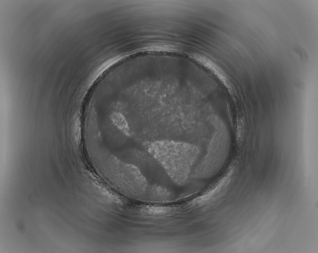 X0000111860829200908061334