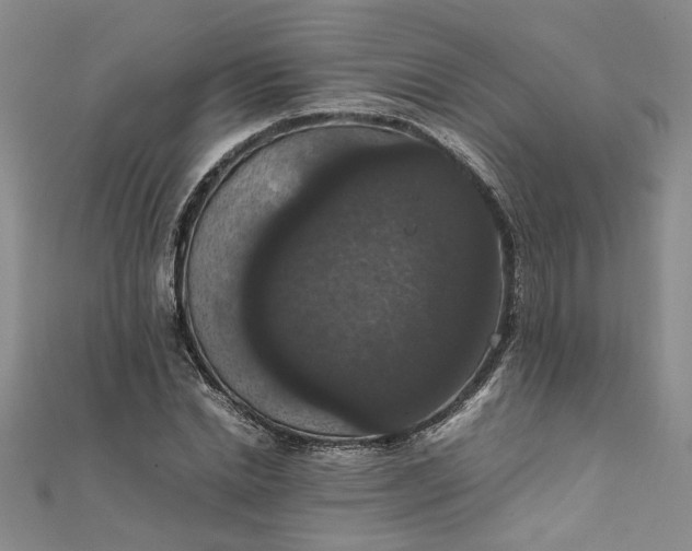 X0000111860830200908061334