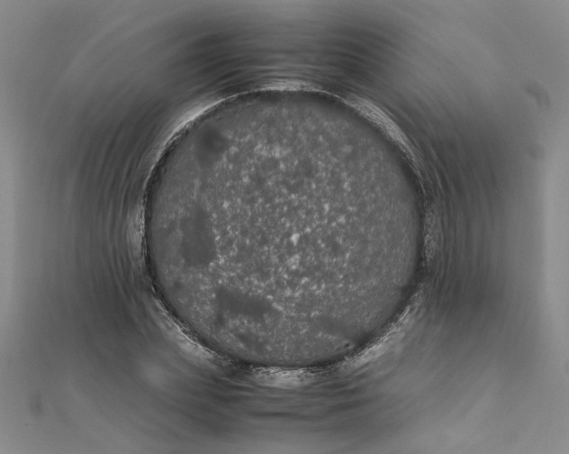 X0000111860831200908061334