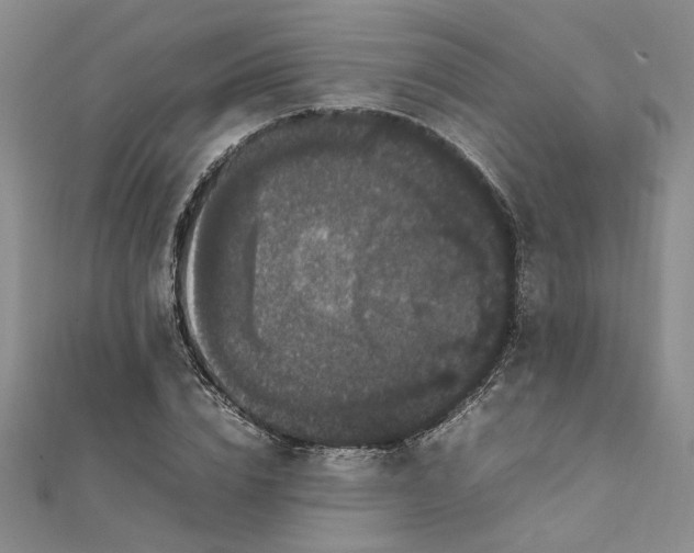 X0000111860832200908061334