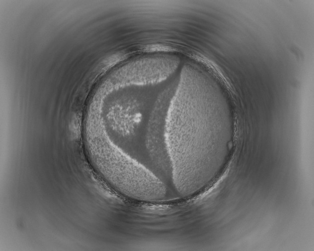 X0000111860833200908061334