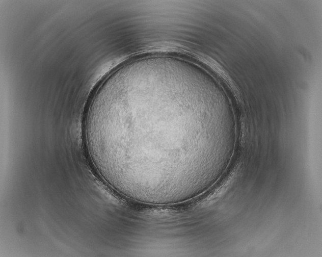 X0000111860834200908061334