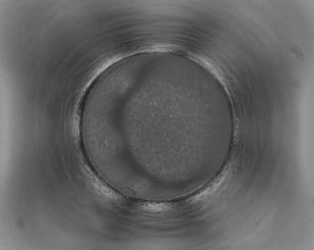 X0000111860835200908061334