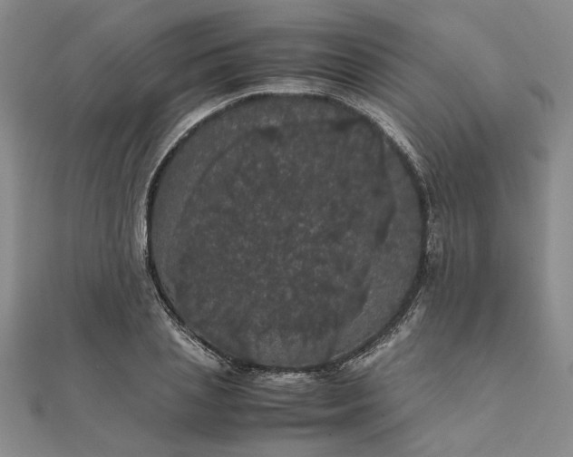 X0000111860837200908061334