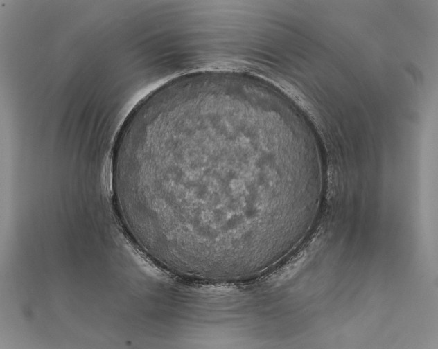 X0000111860838200908061334