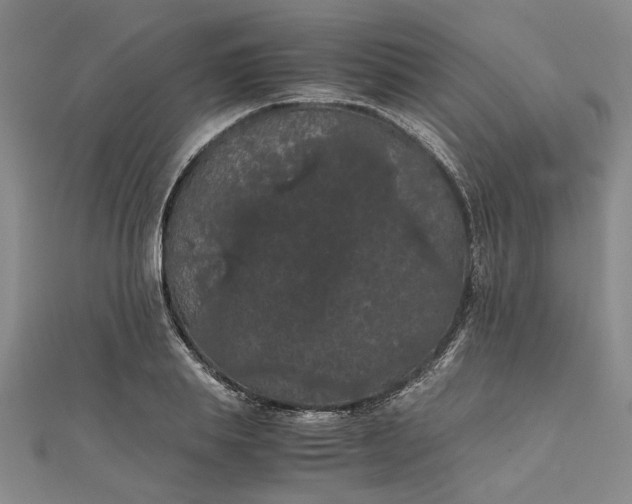 X0000111860839200908061334