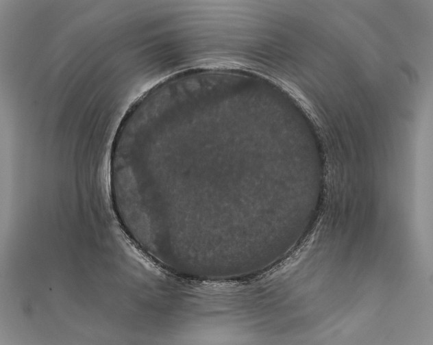 X0000111860840200908061334