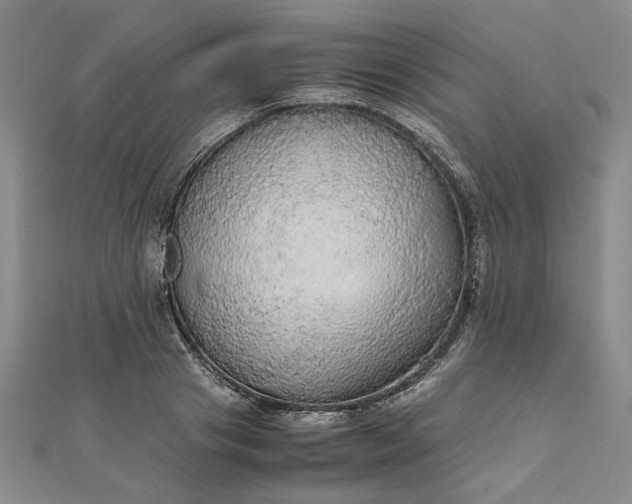 X0000111860841200908061334