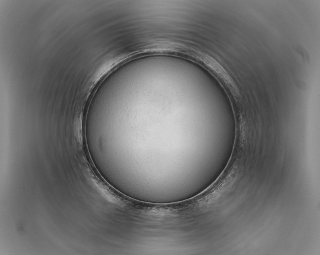 X0000111860842200908061334