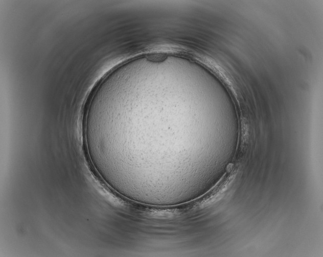 X0000111860843200908061334