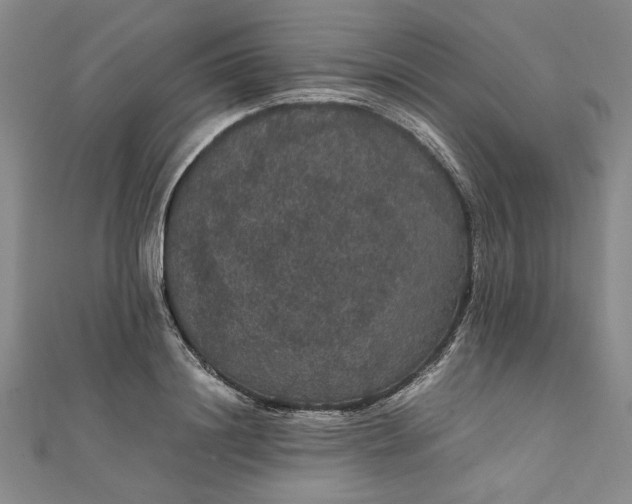 X0000111860844200908061334