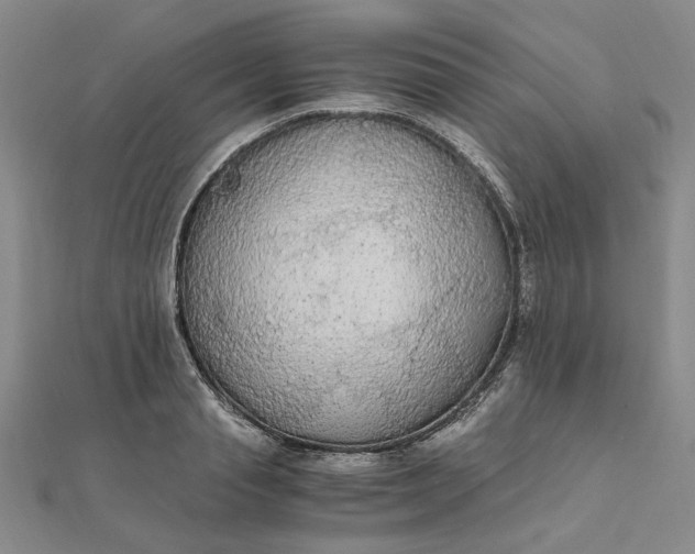 X0000111860845200908061334