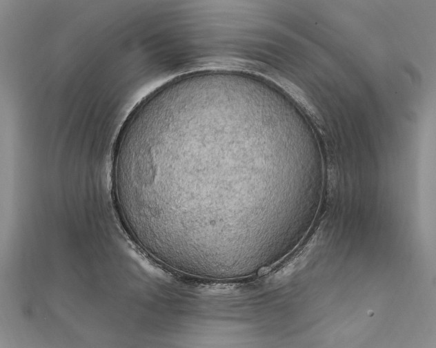 X0000111860846200908061334