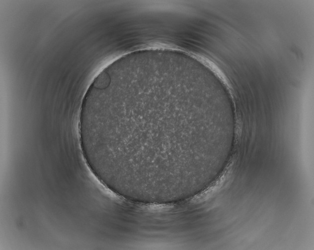 X0000111860847200908061334