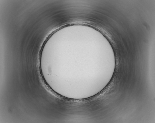 X0000111860848200908061334