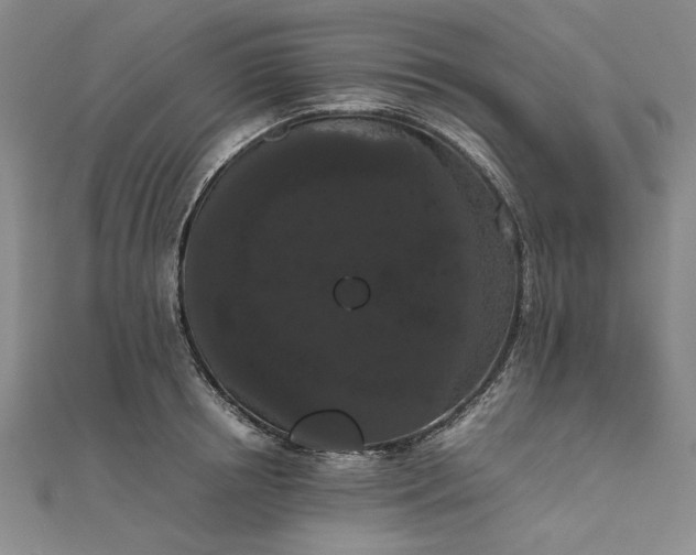 X0000111860850200908061334