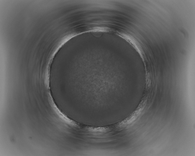 X0000111860851200908061334