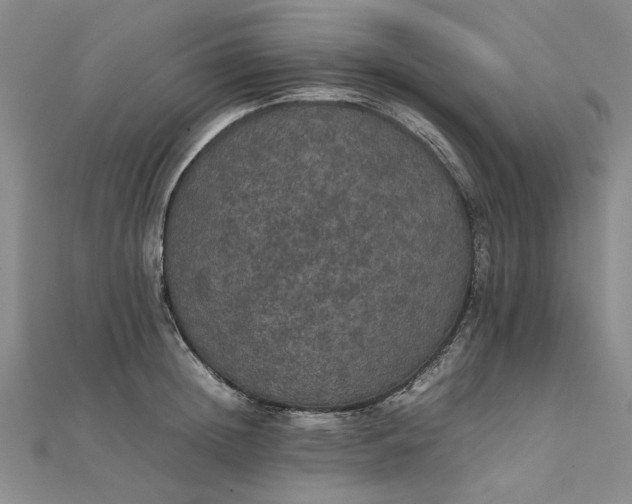 X0000111860852200908061334