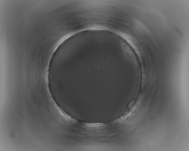 X0000111860853200908061334