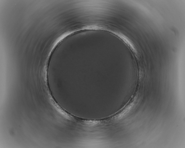 X0000111860854200908061334