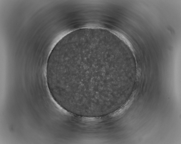 X0000111860855200908061334