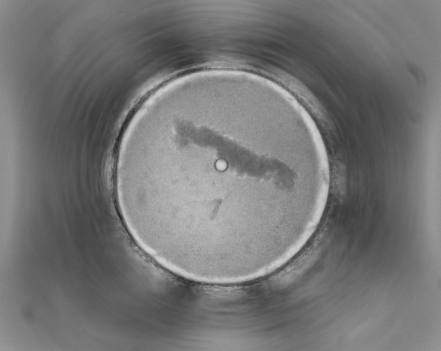 X0000111860856200908061334