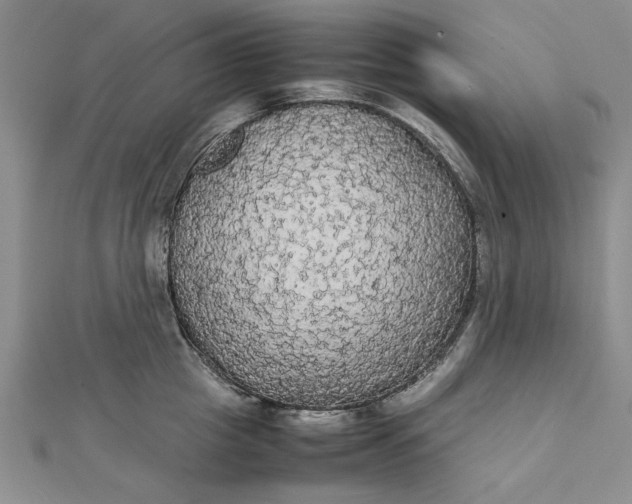 X0000111860857200908061334