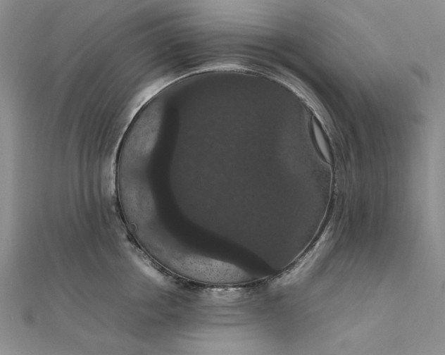 X0000111860858200908061334