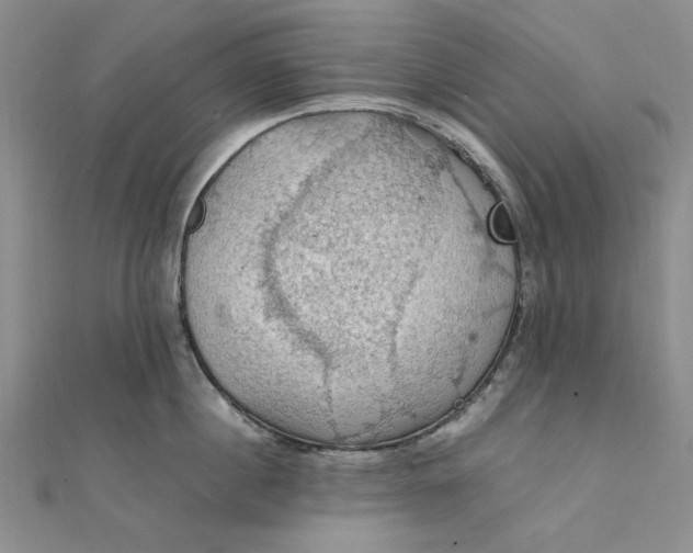 X0000111860860200908061334