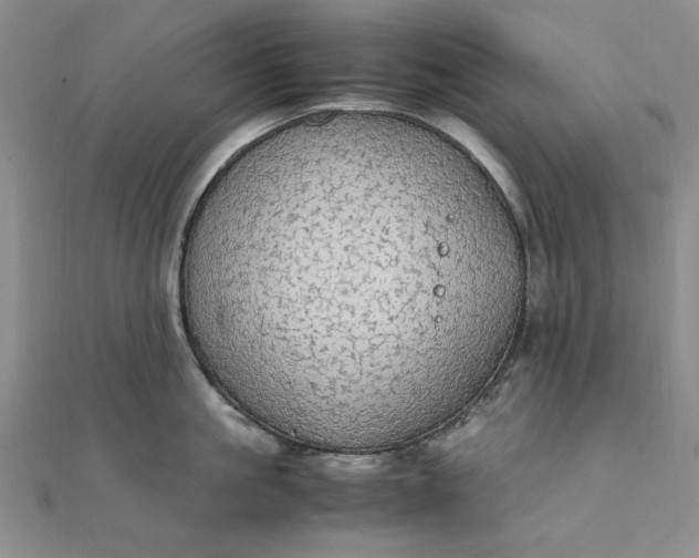 X0000111860861200908061334