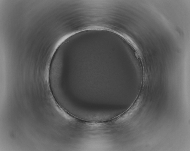 X0000111860862200908061334