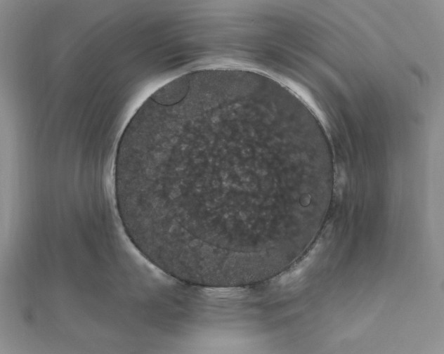 X0000111860863200908061334