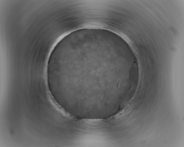 X0000111860864200908061334