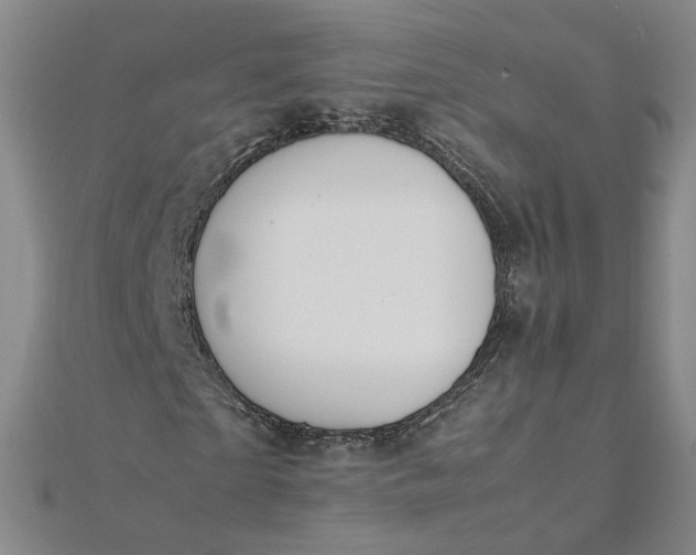 X0000111860865200908061334