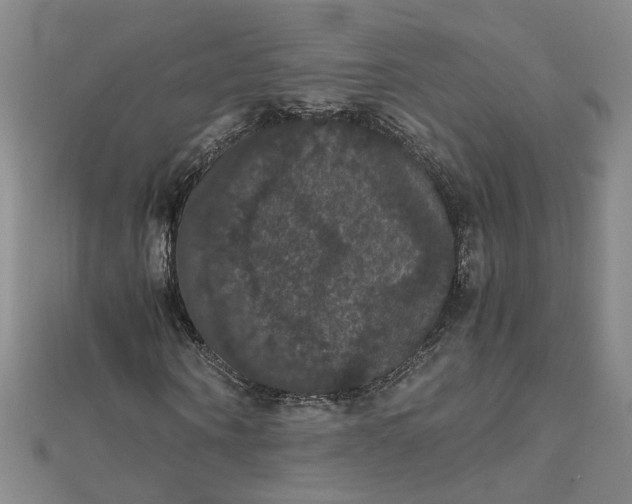 X0000111860866200908061334