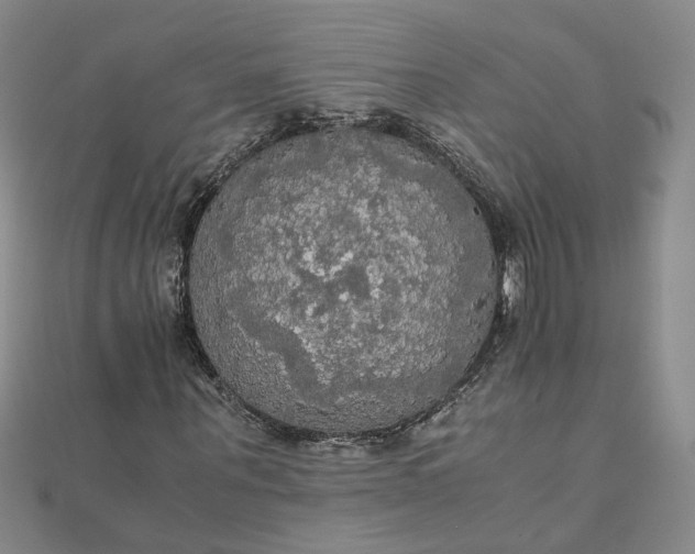 X0000111860867200908061334