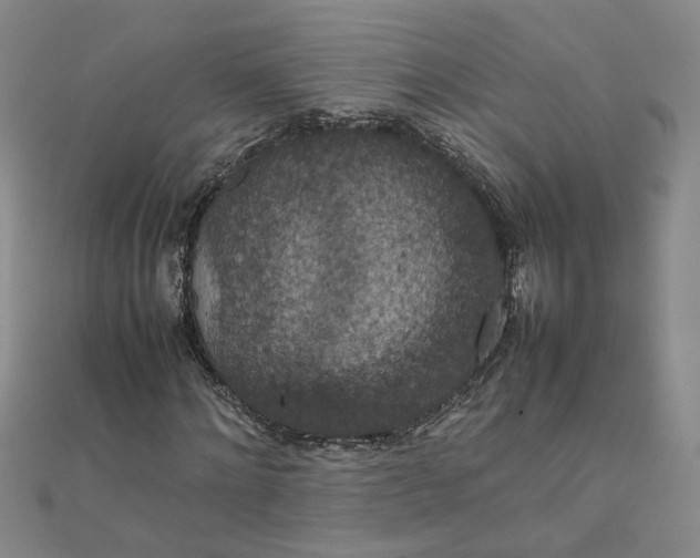 X0000111860868200908061334