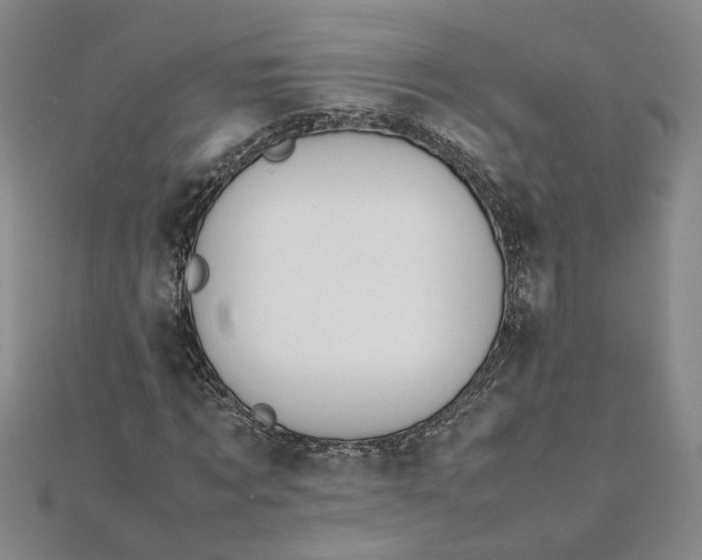 X0000111860869200908061334