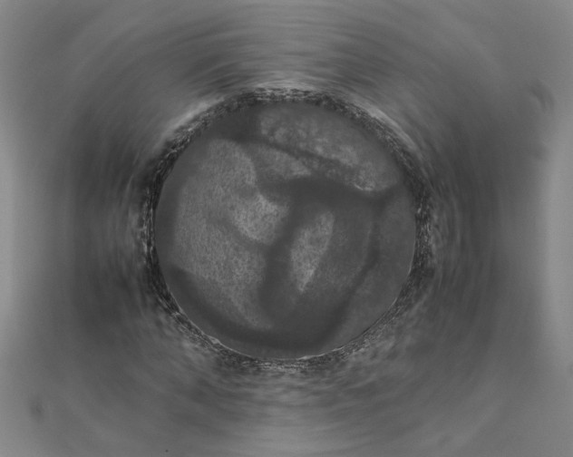 X0000111860870200908061334