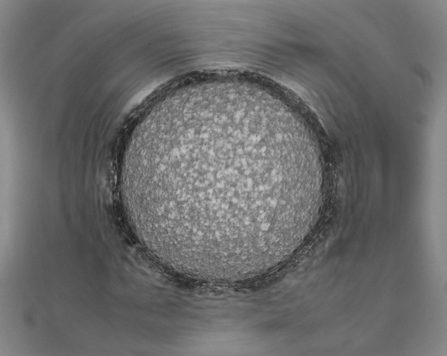 X0000111860871200908061334