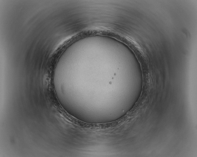 X0000111860872200908061334