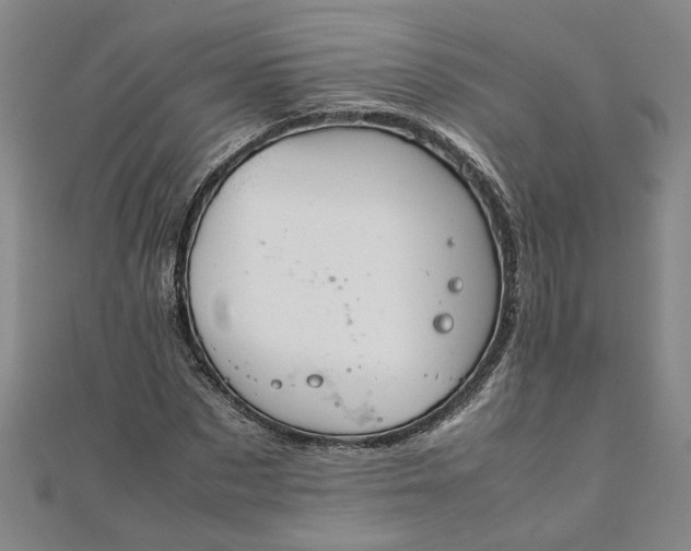 X0000111860873200908061334