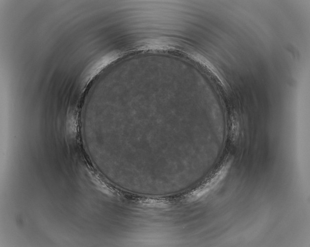 X0000111860874200908061334