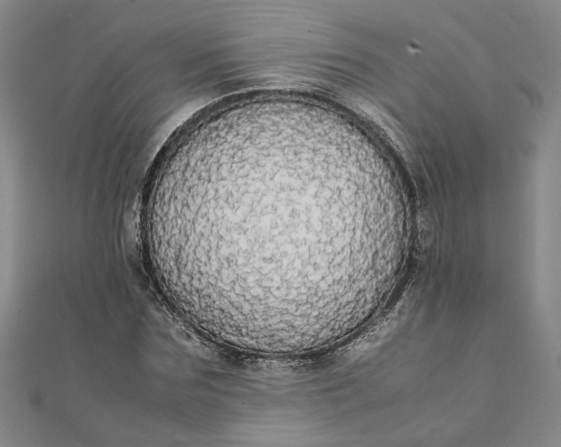 X0000111860875200908061334