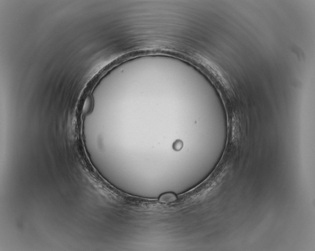 X0000111860876200908061333