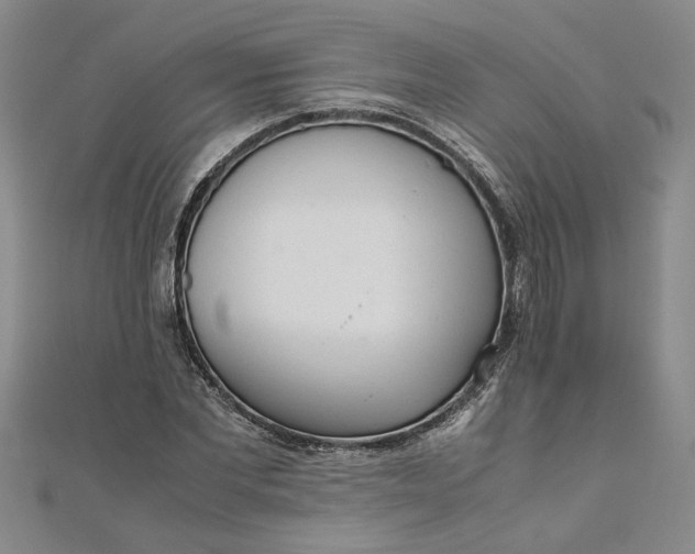 X0000111860877200908061333