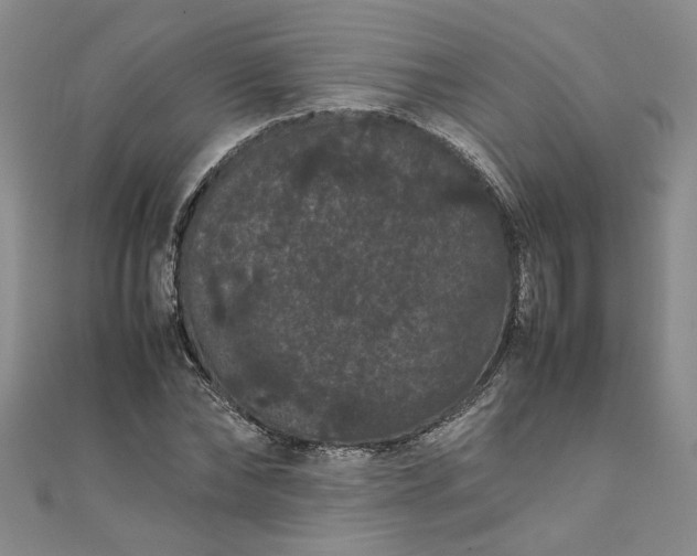 X0000111860878200908061333