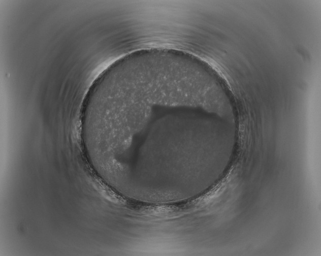 X0000111860879200908061333