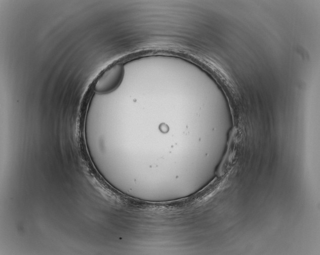 X0000111860880200908061333