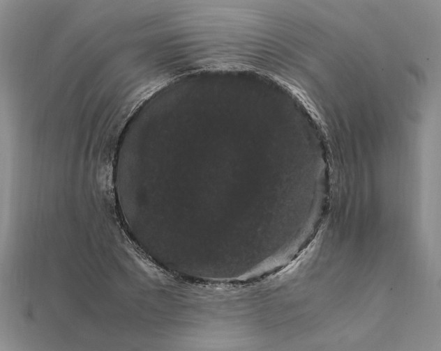 X0000111860881200908061333